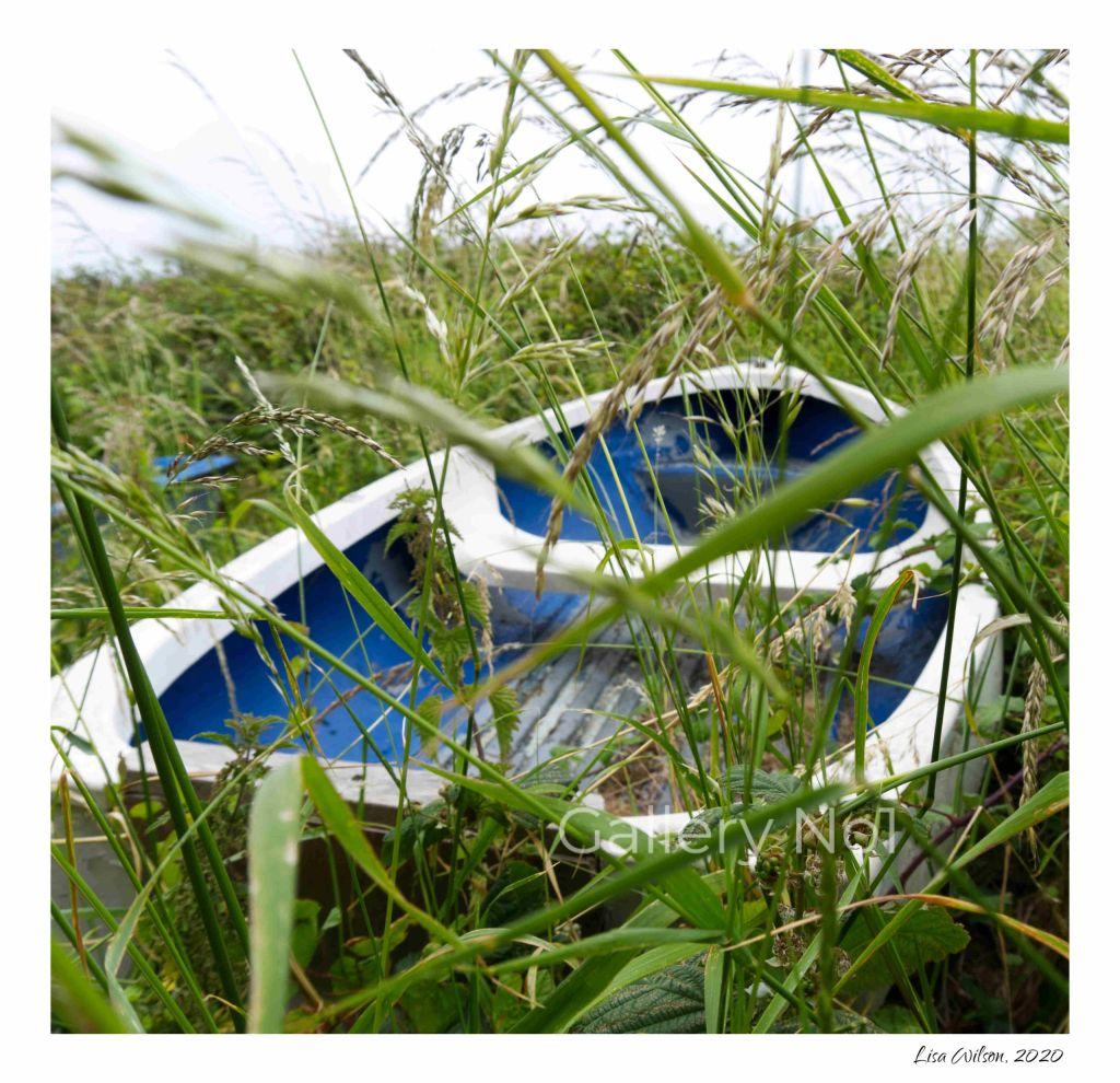 FIND LISA WILSON PHOTOGRAPH OF ROWING BOAT IN GRASS REEDS FOR SALE