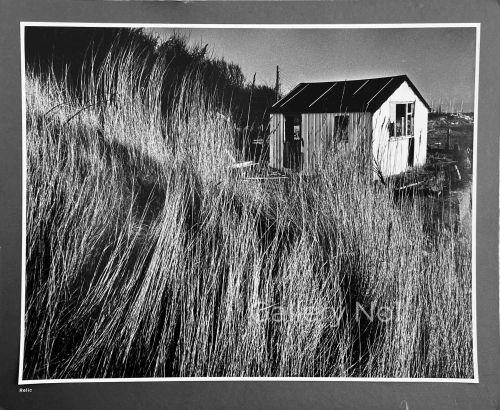 FIND BLACK AND WHITE PHOTOGRAPHS OF THE SEASHORE FOR SALE