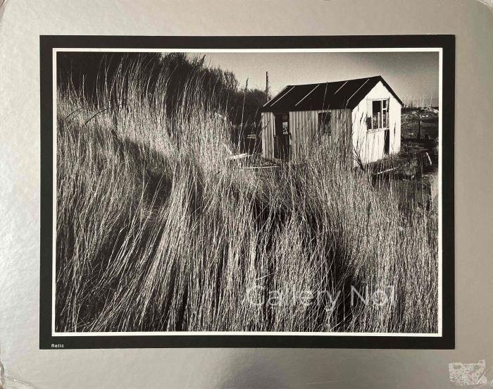 FIND PHOTOGRAPH FOR SALE OF A HUT ON A SEASHORE