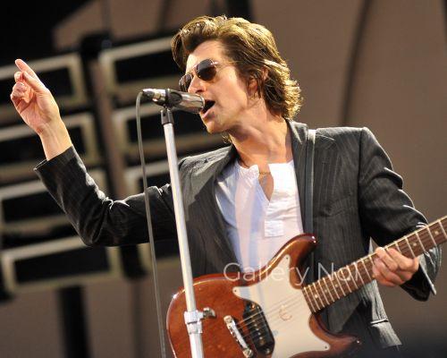 FIND PHOTOGRAPH OF ARTIC MONKEYS FOR SALE