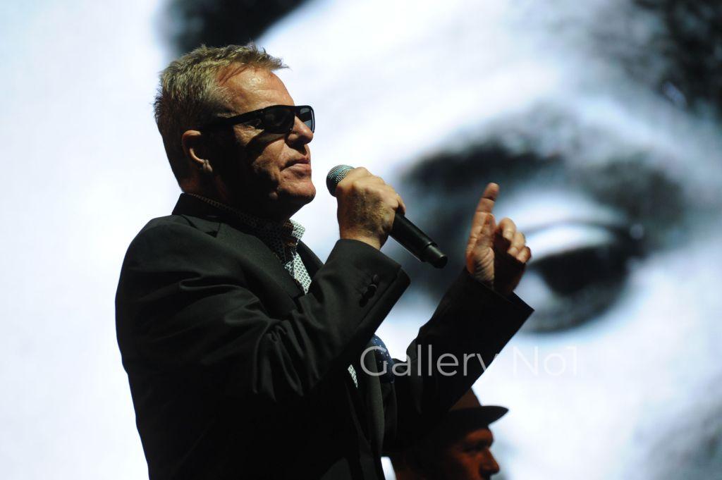 FIND PHOTOGRAPH OF SUGGS AND MADNESS FOR SALE