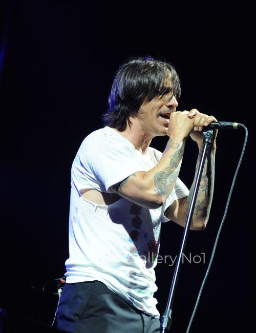 FIND PAUL WINDSORS PHOTOGRAPH OF THE RED HOT CHILI PEPPERS FOR SALE