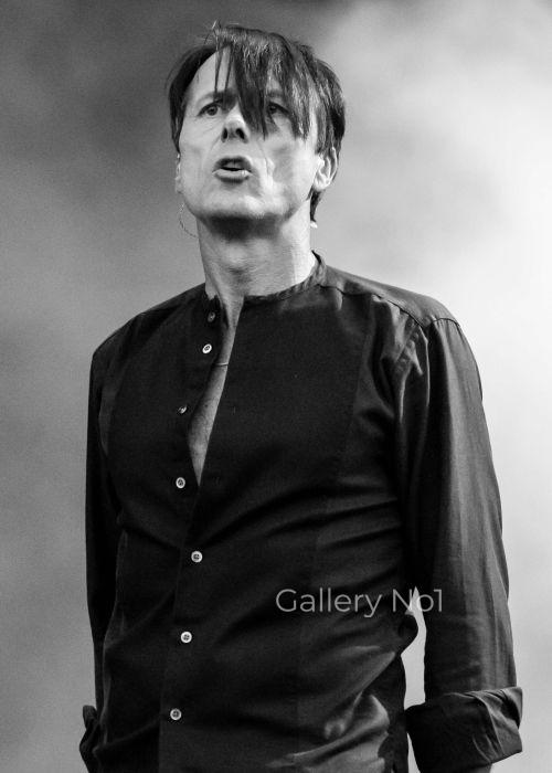 LEAD SINGER FROM SUEDE PHOTOGRAPH AT VICTORIOUS FESTIVAL FOR SALE