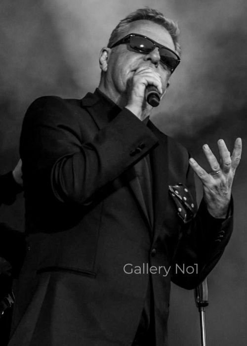 FIND PHOTOGRAPH OF SUGGS OF MADNESS FOR SALE IN UK