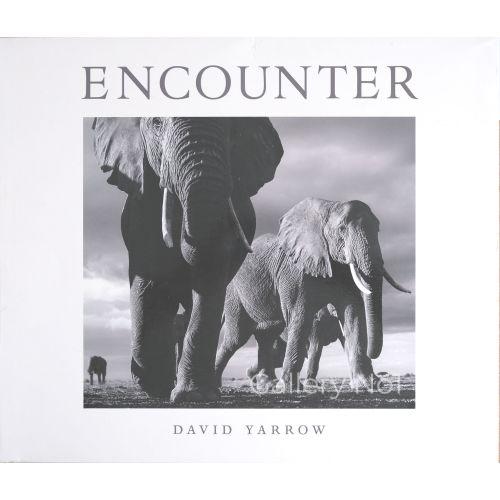 FIND A COPY OF DAVID YARROW ENCOUNTER FOR SALE IN THE UK