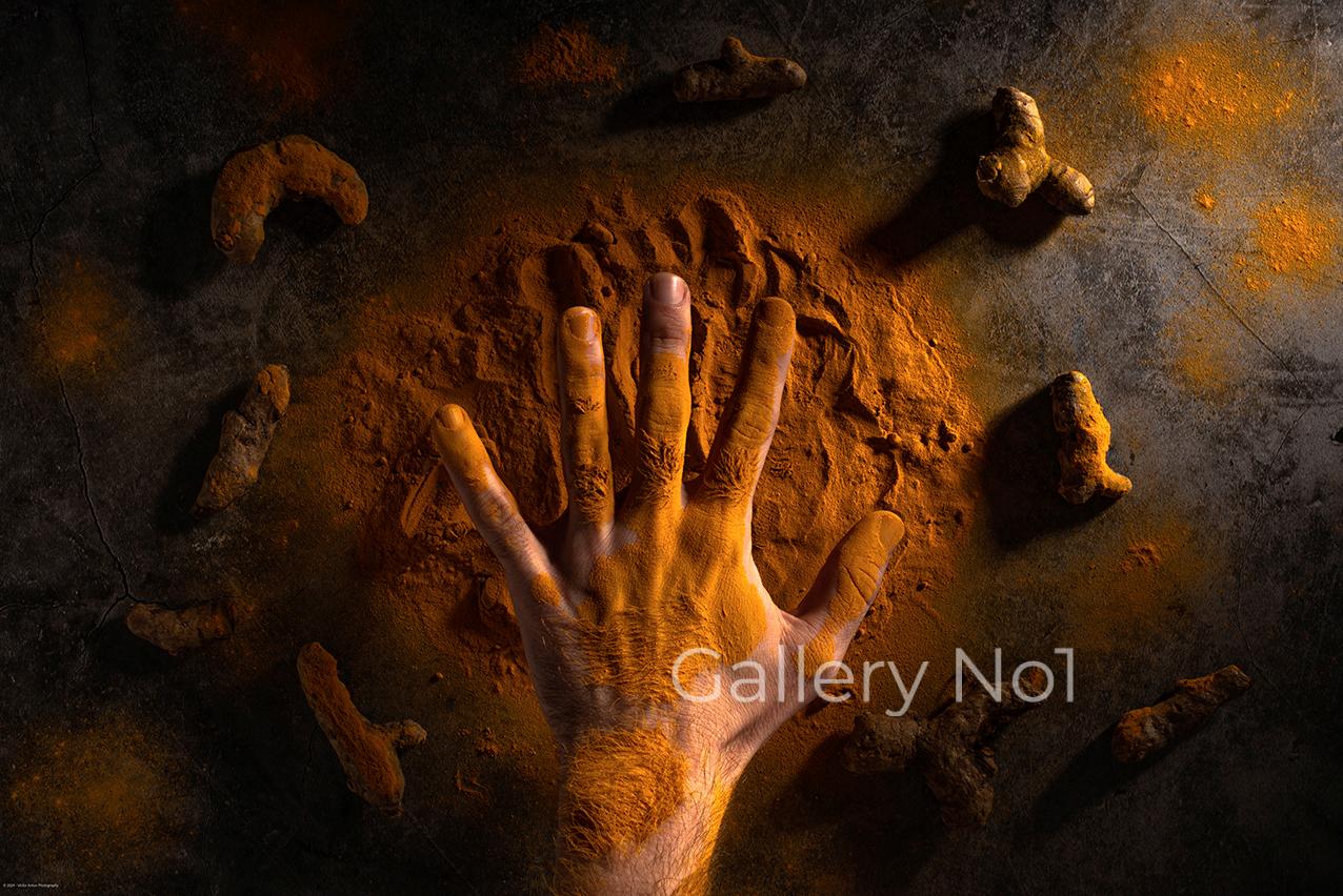 Gallery Number One – Victor Anton