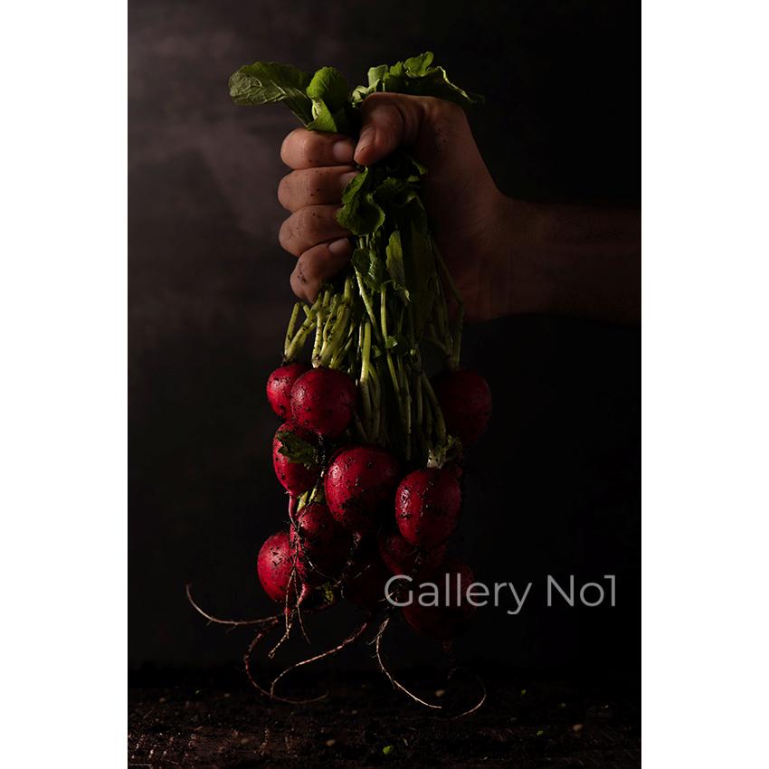 victor-anton-photograph-root-down-handful-of-radishes