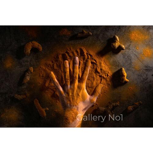 FIND PHOTOGRAPHS OF FOOD SPICES FOR SALE