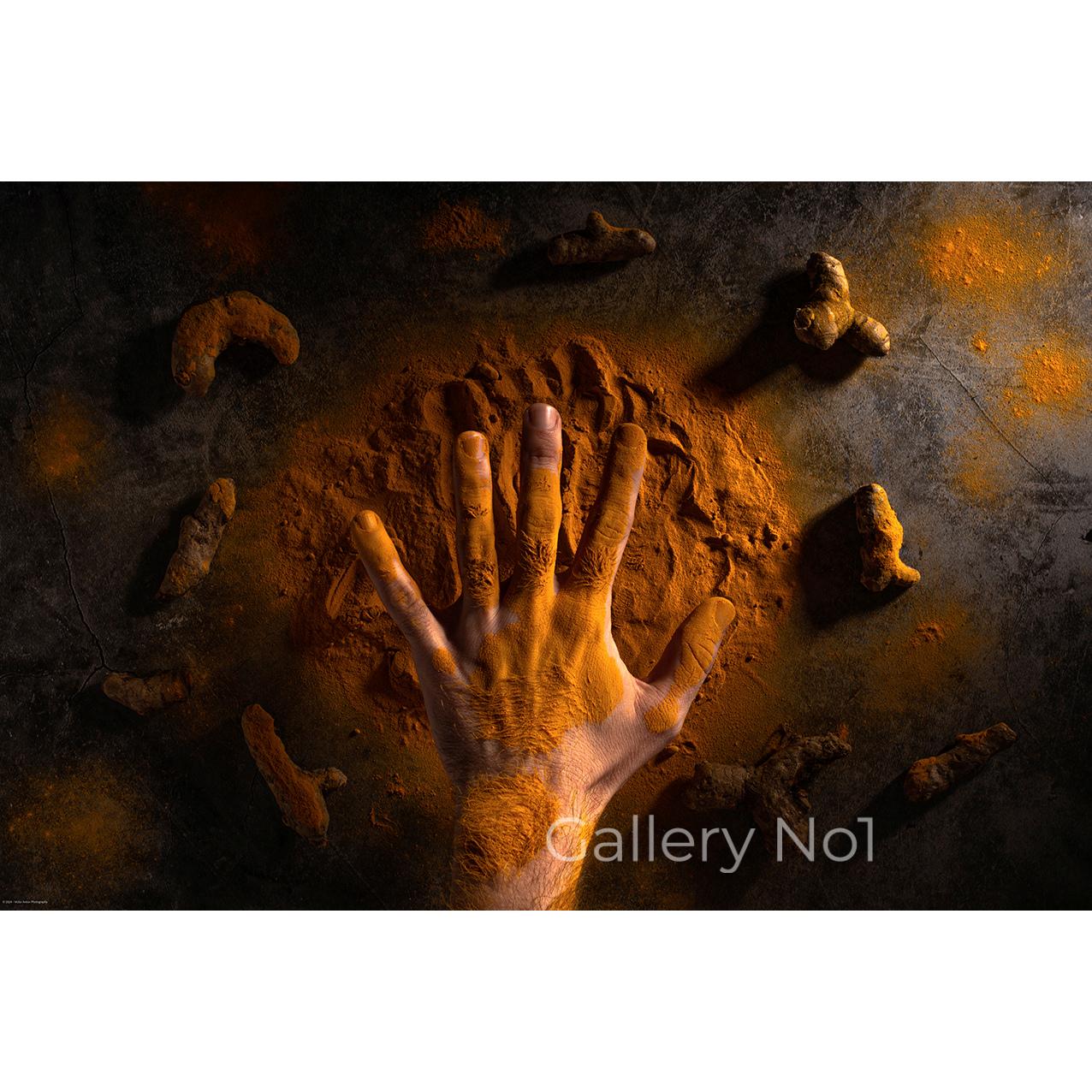 food-spices-photograph-victor-anton-root-down-turmeric-hand FIND PHOTOGRAPHS OF FOOD SPICES FOR SALE