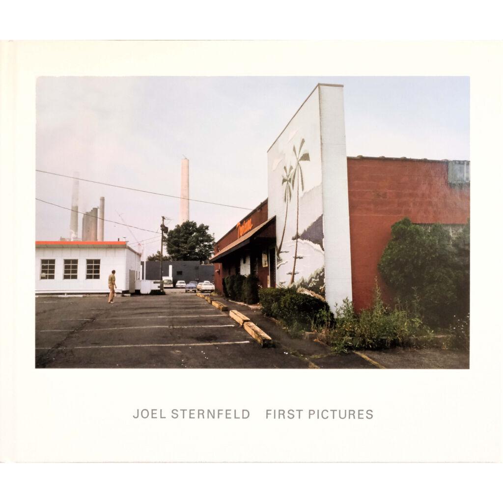 FIND COPY OF JOEL STERNFIELD FIRST PICTURES FOR SALE