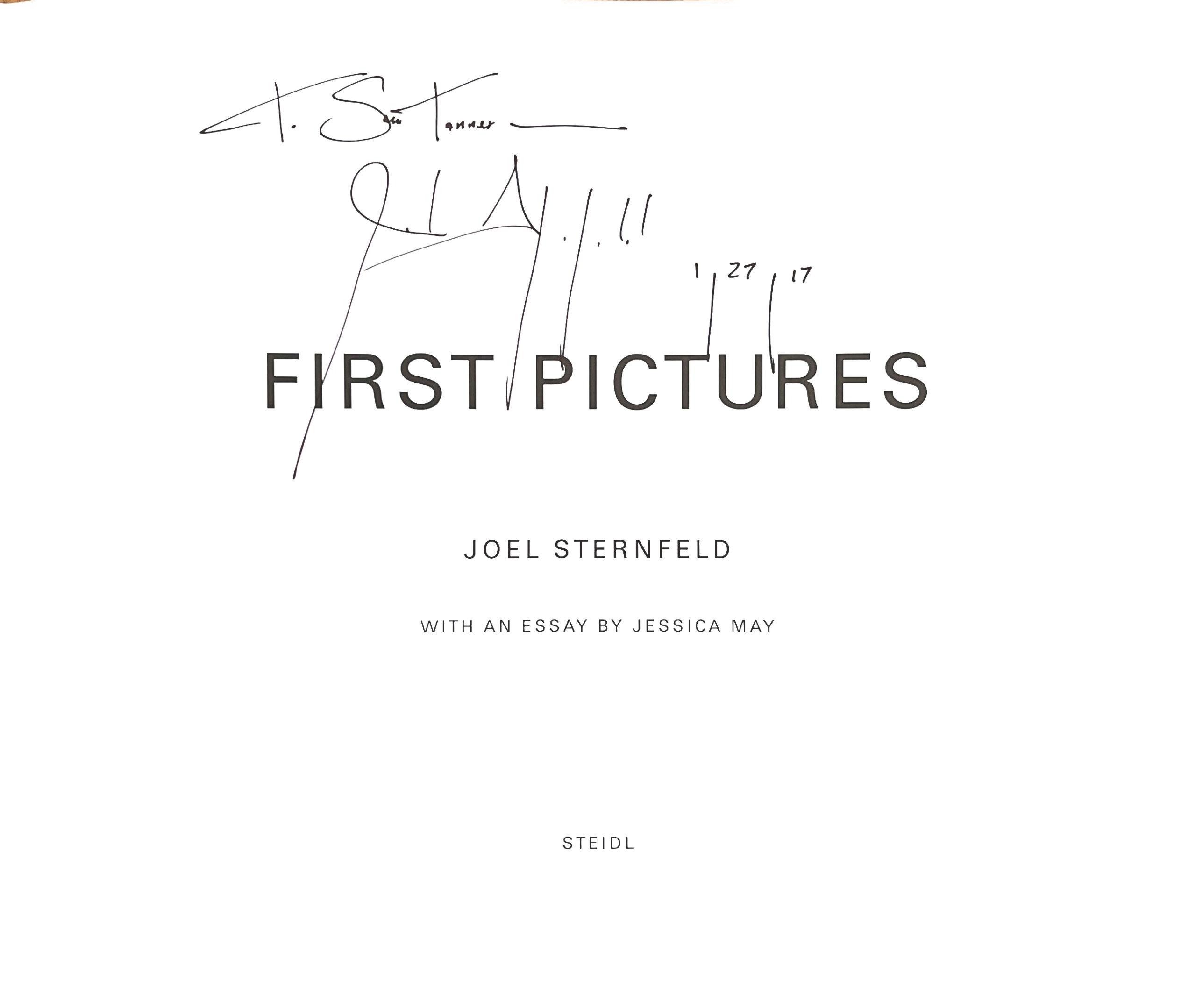 photobook-joel-sternfield-first-pictures-gallery-no1-book 6