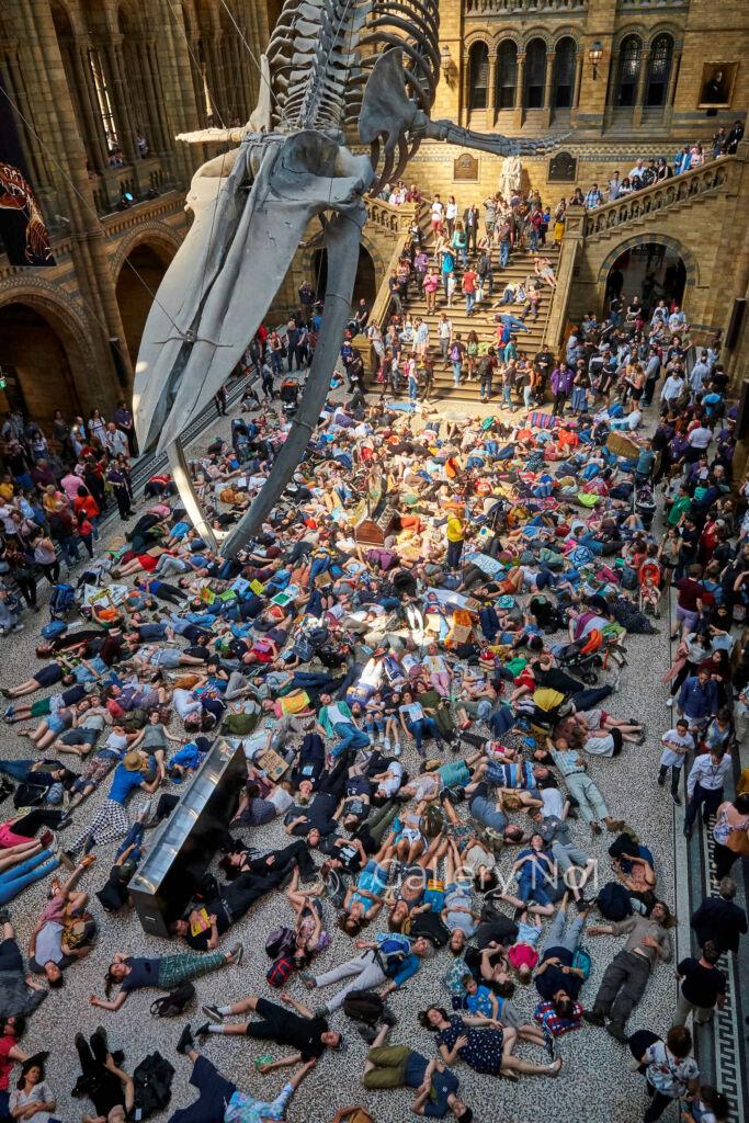 FIND PHOTOGRAPH FOR SALE OF EXTINCTION REBELLION DIE-IN AND SWARM AT NATURAL HISTORY MUSEUM