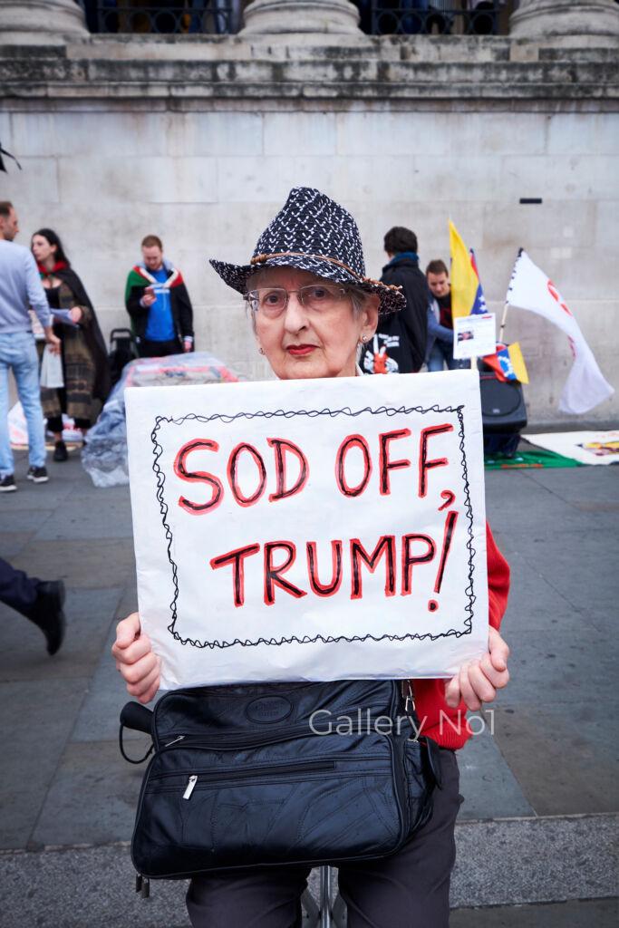 FIND ANTI TRUMP PROTEST IN LONDON PHOTOGRAPH FOR SALE