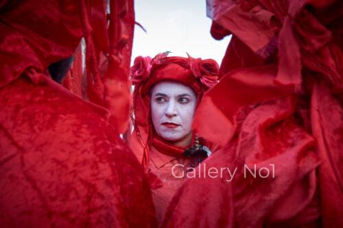 FIND PHOTOGRAPH OF THE RED BRIGADE AT PROTEST MARCH FOR SALE