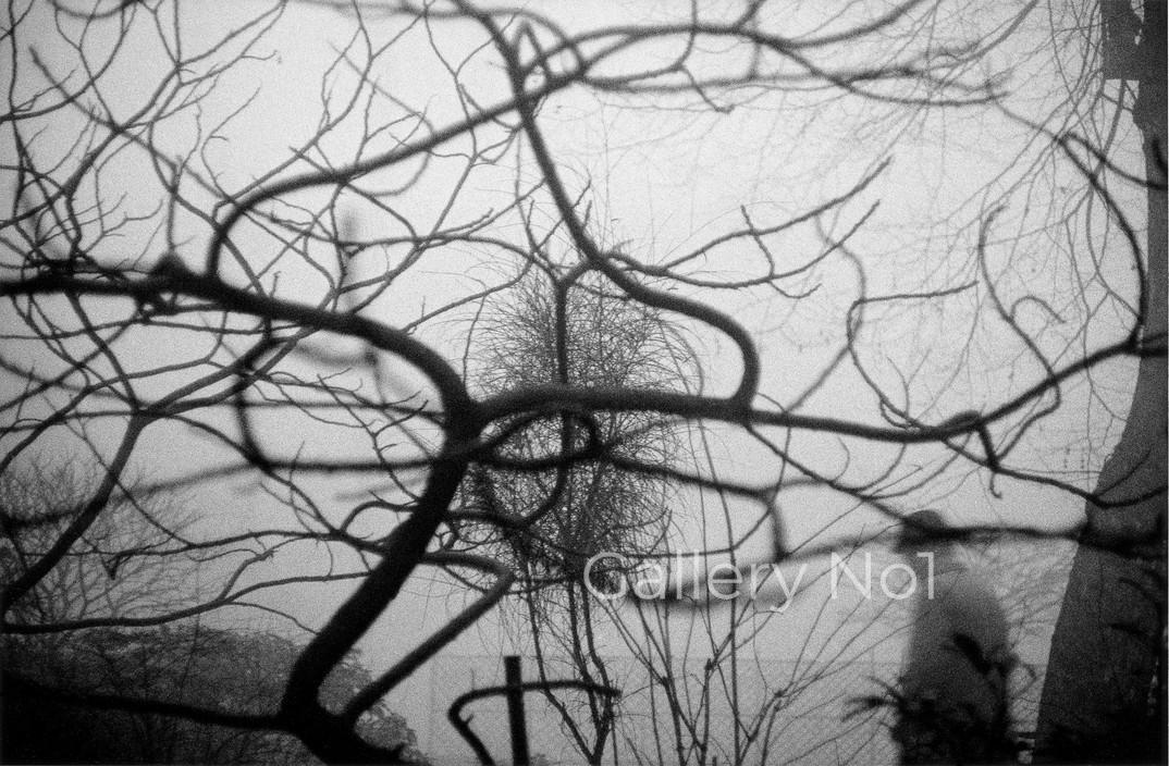 photobook-sergio-larrain-vagabond-photographer-for-sale-gallery-no1-larrain3 SERGIO LARRAIN PHOTOBOOK VAGABOND PHOTOGRAPHER IS FOR SALE ON GALLERY NO1 WEBSITE